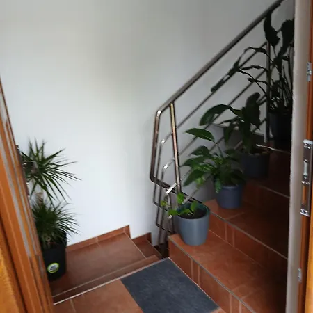 Luka Apartment Zadar